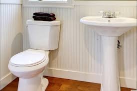 toilet cleaner